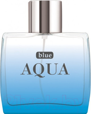 Туалетная вода Dilis Blue Aqua (100мл)