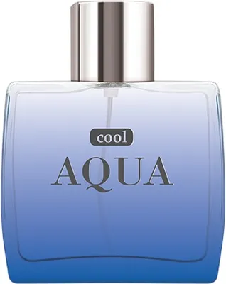 Туалетная вода Dilis Cool Aqua (100мл)
