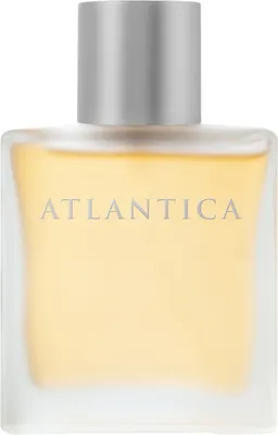 Туалетная вода Dilis Atlantica Taboo (100мл)