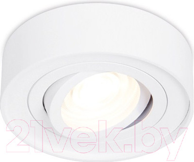 Точечный светильник Ambrella MR16 TN150 WH (белый)