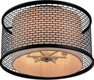 Потолочный светильник Lussole Loft Levittown GRLSP-9676