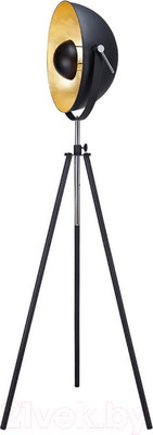 Торшер Lussole Loft GRLSP-9824