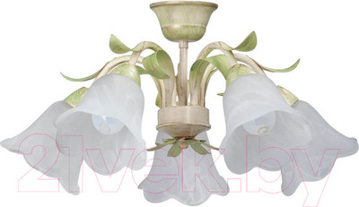 Люстра Vitaluce V1451/5PL