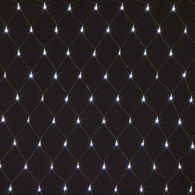 Светодиодная сеть Евросвет 300-001 (белый)