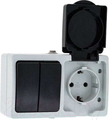 Блок выключатель+розетка КС Дабрабыт ОП 16А IP54 / 74845 (серый)