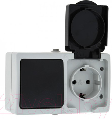 Блок выключатель+розетка КС Дабрабыт ОП 16А IP54 / 74844 (серый)