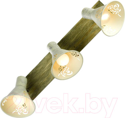 Спот Lussole LGO Mcconnico GRLSP-8059