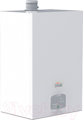 Газовый котел Ferroli Force W 120