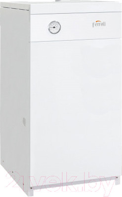 Газовый котел Ferroli Torino 20