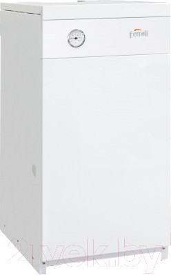 Газовый котел Ferroli Torino 30