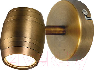 Спот Lussole Loft GRLSP-9566