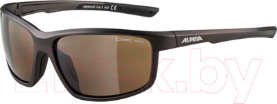 Очки солнцезащитные Alpina Sports Defey / A86453-20 (Tin Matt)