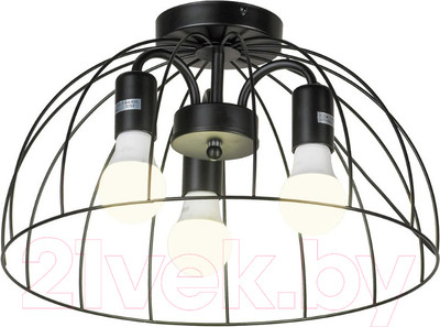 Люстра Lussole LSP-8215