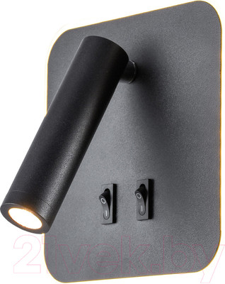 Спот Lussole LSP-8238