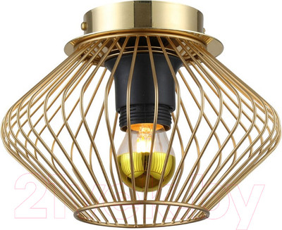 Потолочный светильник Lussole LSP-8248