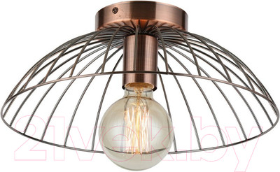 Потолочный светильник Lussole LSP-8249