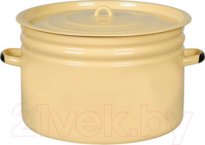 Кастрюля СтальЭмаль 2с31 (18л)