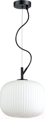 Потолочный светильник Odeon Light Roofi 4753/1