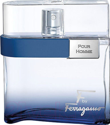 Туалетная вода Salvatore Ferragamo F By Free Time (100мл)