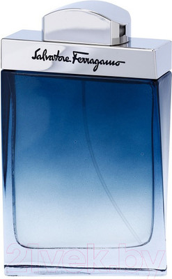 Туалетная вода Salvatore Ferragamo Subtil (100мл)