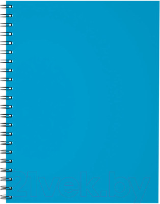 Тетрадь Erich Krause Neon / 45178 (120л, клетка)