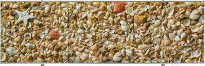 Экран для ванны Comfort Alumin Group Ракушки 3D 170x50