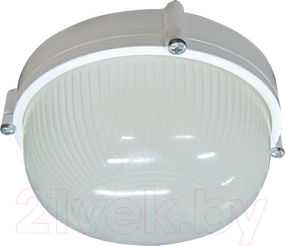Светильник ЖКХ Элетех Банник 1101 НПП 03-100-009 / 1005500930