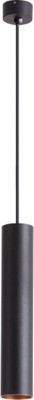 Потолочный светильник Arte Lamp Torre A1530SP-1BK