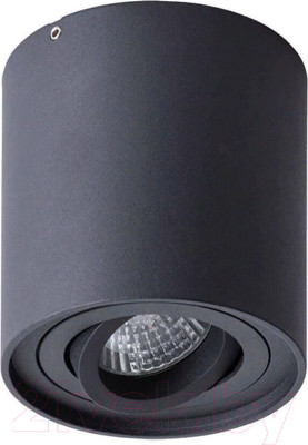 Точечный светильник Arte Lamp Falcon Picolo A5645PL-1BK