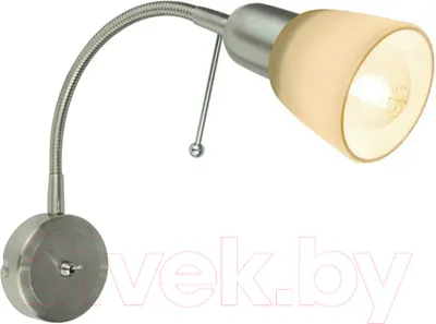 Спот Arte Lamp Lettura A7009AP-1SS