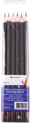 Набор простых карандашей Darvish DV-3246-6 (6шт)