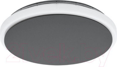 Бра уличное Eglo Mongodio 98712