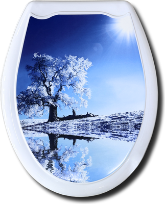 Сиденье для унитаза Еврокомфорт Белое дерево 104-406-00 (жесткое)