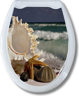 Сиденье для унитаза Еврокомфорт Берег 104-406-00 (жесткое)