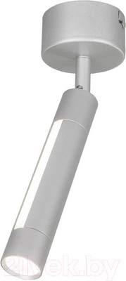 Спот Евросвет 20084/1 (серебристый)