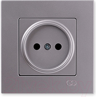 Розетка Gunsan Eqona 01401500-151113 (серебристый)