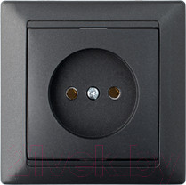 Розетка Bylectrica Стиль РС16-305 (графит)