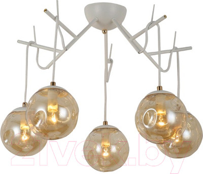 Люстра Evoluce Calletta SLE110202-05