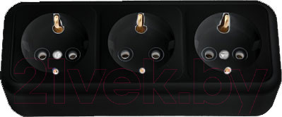 Розетка Bylectrica Пралеска РА16-265 (черный)