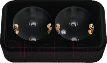 Розетка Bylectrica Пралеска РА16-261 (черный)