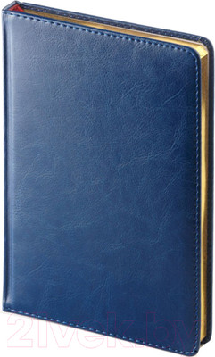 Ежедневник Альт Sidney Nebraska / 3-128/12