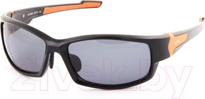 Очки солнцезащитные Norfin 05 / NF-2005 (серый)