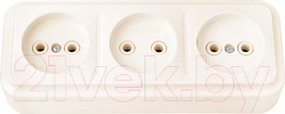 Розетка Bylectrica Пралеска РА16-263 (бежевый)