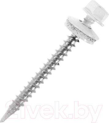 Саморез Starfix Кровельный по металлу 4.8x19 шайба с прокл. PT3 /SMC2-43395-250 (250шт, оцинкованный, RAL 9003 сигнальный белый)