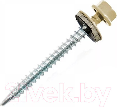 Саморез Starfix SM-30955-7000