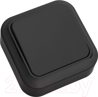 Выключатель Bylectrica Пралеска А1 6-131 (черный)