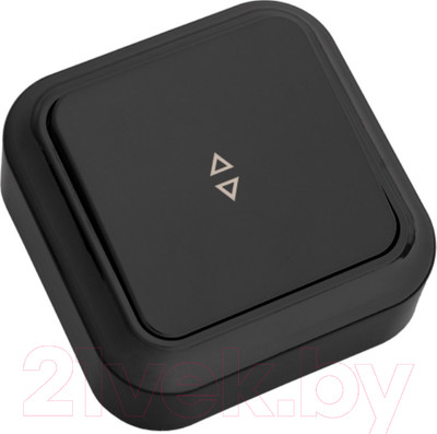 Выключатель Bylectrica Пралеска А6 10-147 (черный)