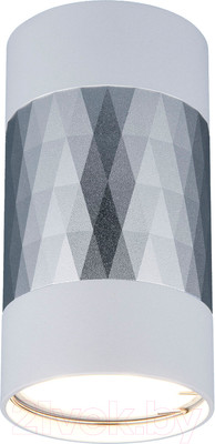 Точечный светильник Elektrostandard DLN110 GU10 (белый/серебристый)