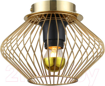 Потолочный светильник Lussole Loft Brooks GRLSP-8248