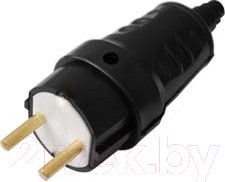 Вилка штепсельная Bylectrica В6-387 (черный)